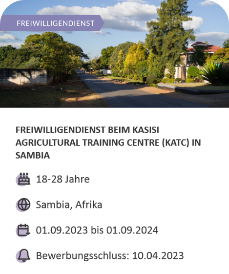 Angebot für einen Freiwilligendienst in Sambia vom 01.09.2023 bis 01.09.2024. Bewerbungsschluss ist der 10.04.2023.