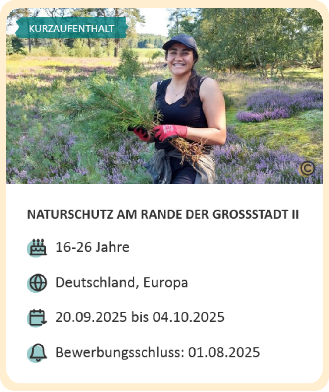 Last-Minute-Markt-Angebot: Workcamp in Deutschland