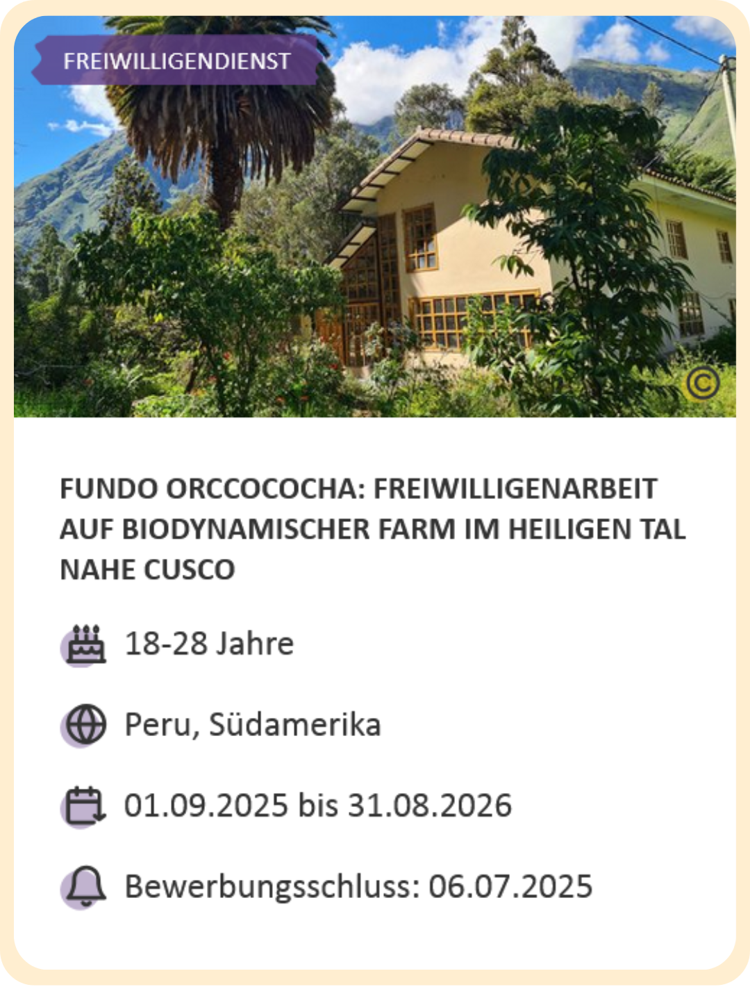 Last-Minute-Markt-Angebot: Freiwilligendienst in Peru