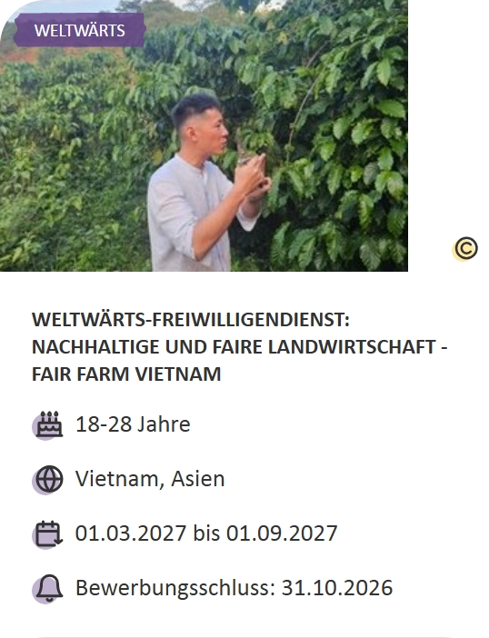 Last-Minute-Markt-Angebot: Freiwilligendienst in Vietnam