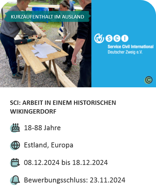 Last-Minute-Markt-Angebot: Workcamp in Estland, Aufbau eines Wikingerdorfs